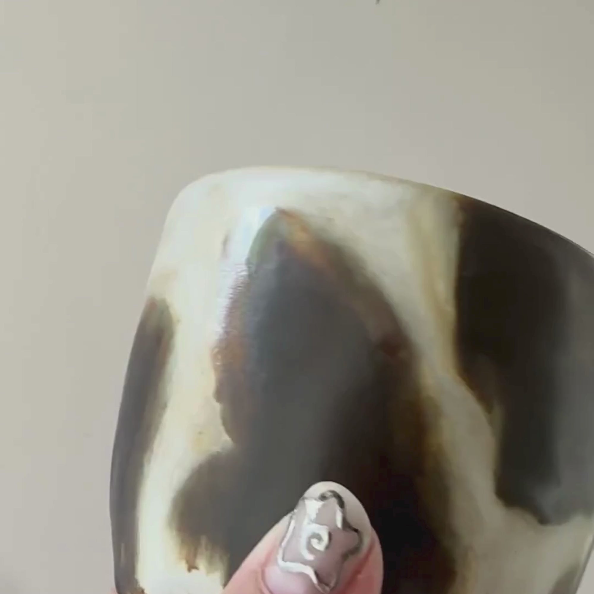 Vorbestellung Kaffeebecher Cow L